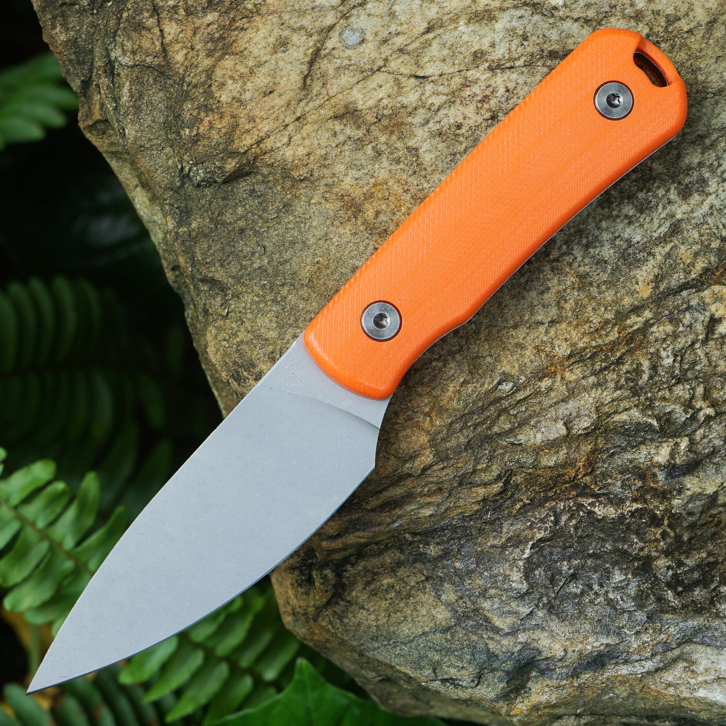 Mocenary MK-31 M390 Blade Small Fixed Blade Knife G10 Handle Kydex Sheath