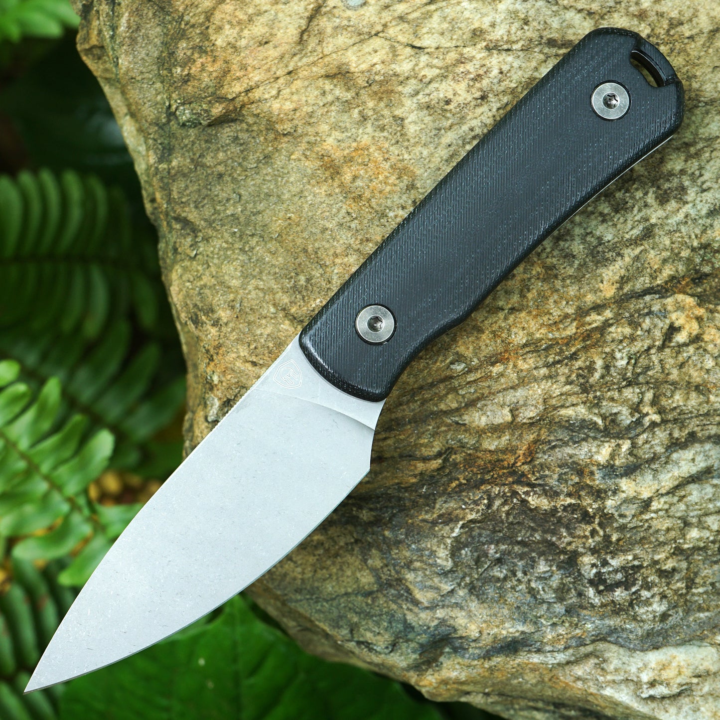 Mocenary MK-31 M390 Blade Small Fixed Blade Knife G10 Handle Kydex Sheath