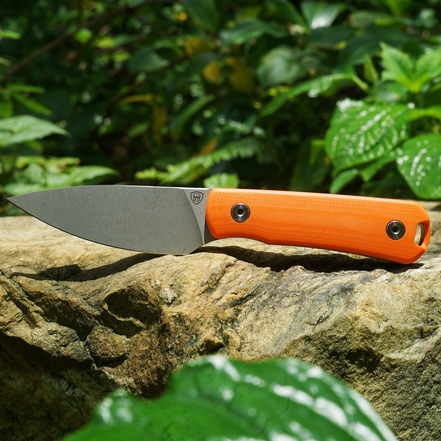 Mocenary MK-31 M390 Blade Small Fixed Blade Knife G10 Handle Kydex Sheath