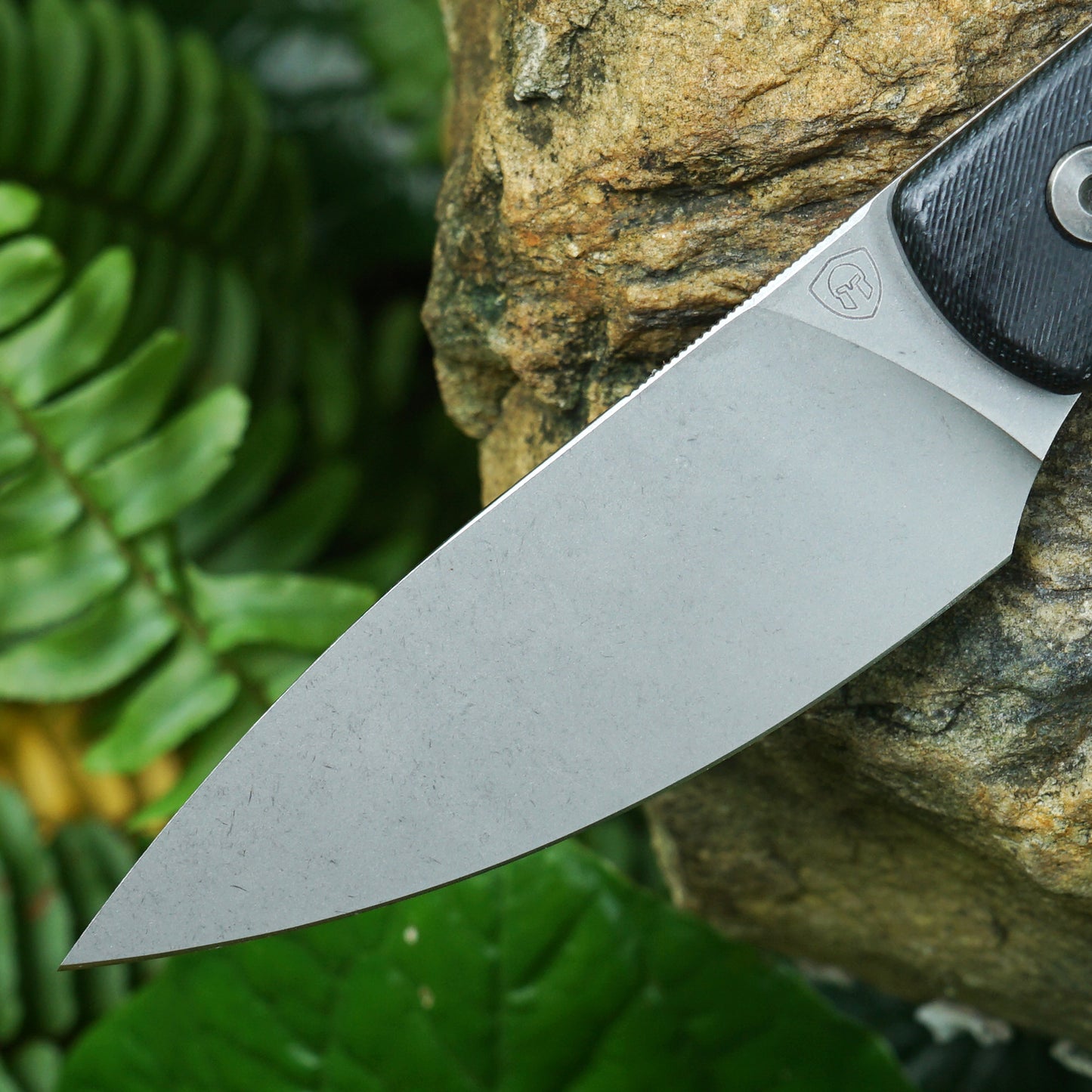 Mocenary MK-31 M390 Blade Small Fixed Blade Knife G10 Handle Kydex Sheath