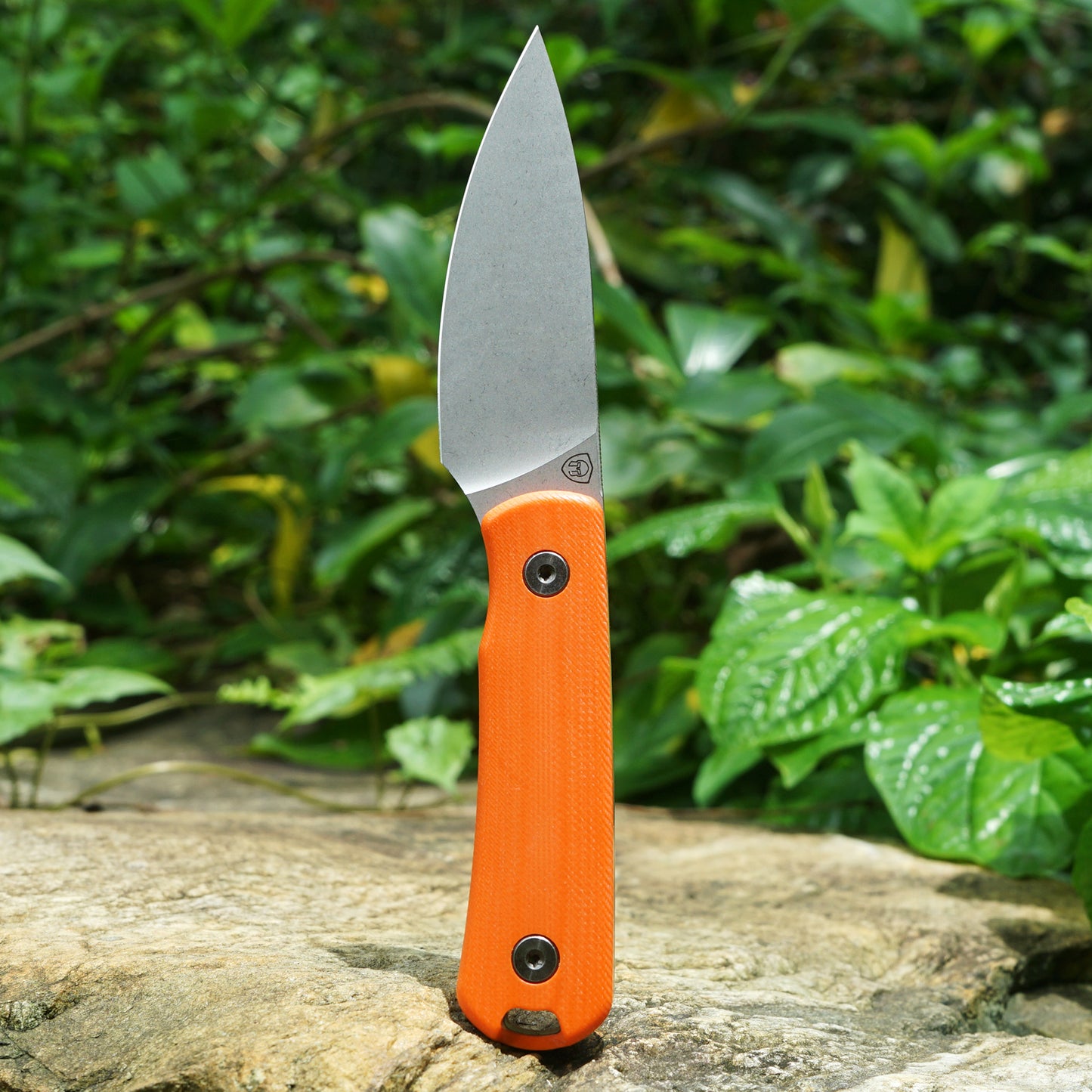 Mocenary MK-31 M390 Blade Small Fixed Blade Knife G10 Handle Kydex Sheath