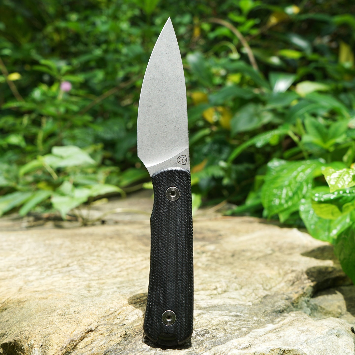 Mocenary MK-31 M390 Blade Small Fixed Blade Knife G10 Handle Kydex Sheath